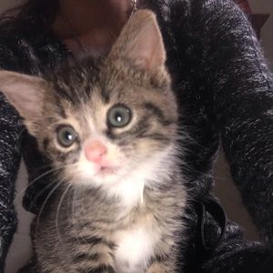 Meet your Posher, Amber